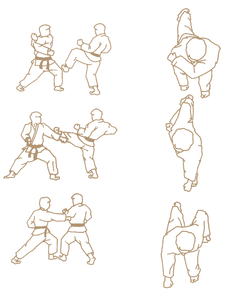 Gyaku-zuki (Reverse Punch)